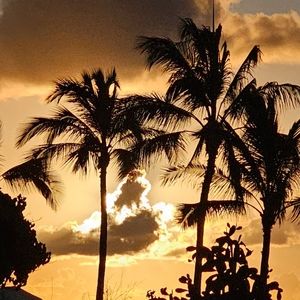 Meet your Posher, Terra